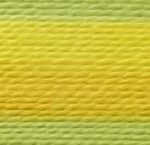 Multi-Color (P,Y,M,P,Y)