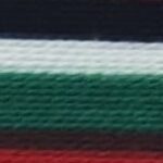 Multi-Color(R,B,W,G,B)