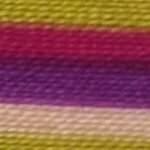 Multi-Color (MY,P,P,,P,M)