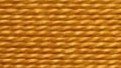 Pumpkin Brown
