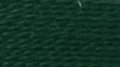 Dark Green Shimmer