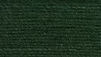 Green Kelp