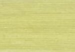 Nourishing Yellow Green