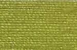 Garlic Green