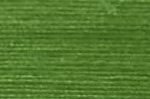 Curry Leaf