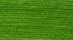 Green Leaf