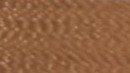 Mushroom Leather