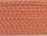 Warm Coral