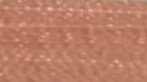 Warm Coral