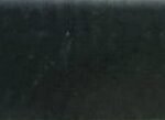 Dark Forest Green
