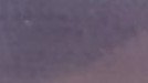 Muted Purple