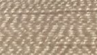 Light Bronze