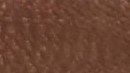 Dark Walnut Brown