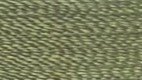 Iguana