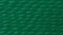 Arab Green
