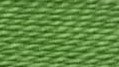 Thanksgiving Green