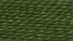 Dark Succulent Green