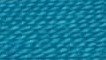 Autumn Blue