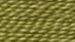 Grass Hopper