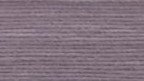 Ash Lilac