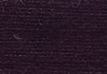 Black Currant