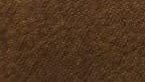 Coffee / Café